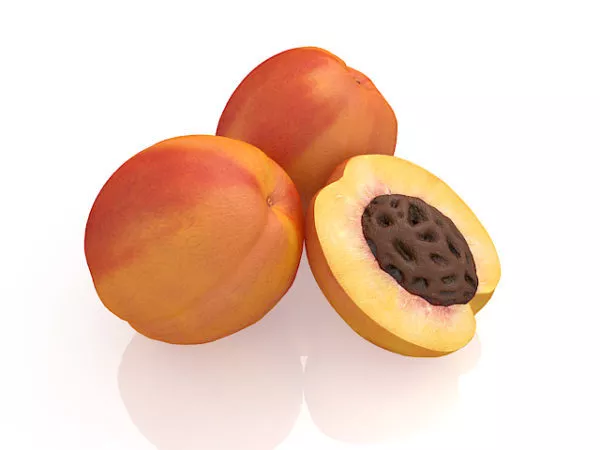 Autumn Peach 3d model