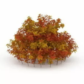 Garden Plant Red Shrubs 3d model