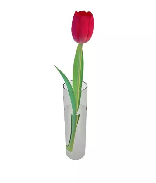 Red Tulip Glass Vase Decor 3d model Red Tulip Glass Vase Decor 3d model