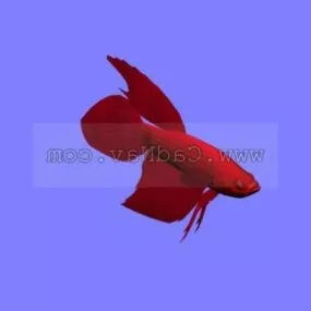 Animal Redbetta Fish 3d model