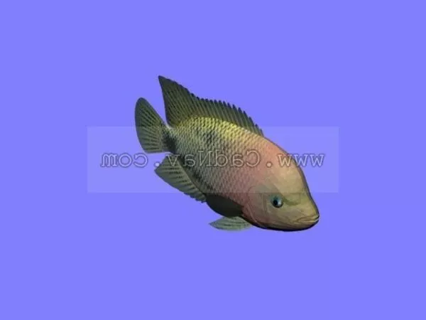 Animated Brycon Fish 3d model