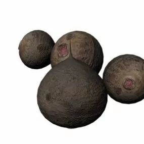 Fresh Redneck Vegetable 3d model