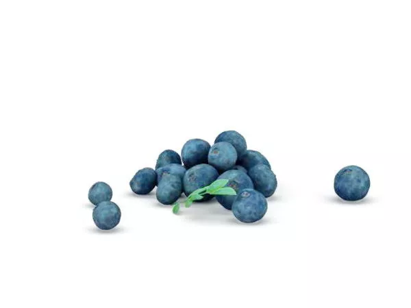 Lemons On Round Tray 3d model