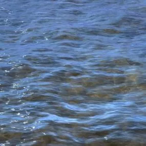 Flowing Water Scene 3d model