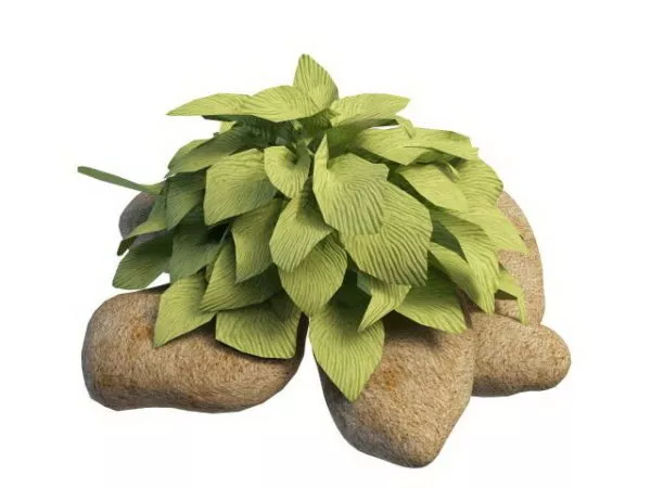Moss Stone 3d model