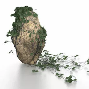 Rockery With Climbing Plants 3d model