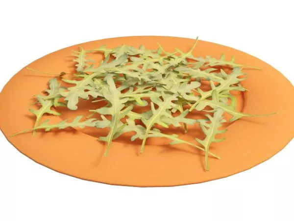 Nature Rocket Salad Leaves 3d model Nature Rocket Salad Leaves 3d model