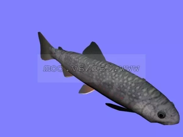 Deep Ocean Monster Fish 3d model