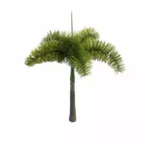 Royal Palm Garden Tree 3d model