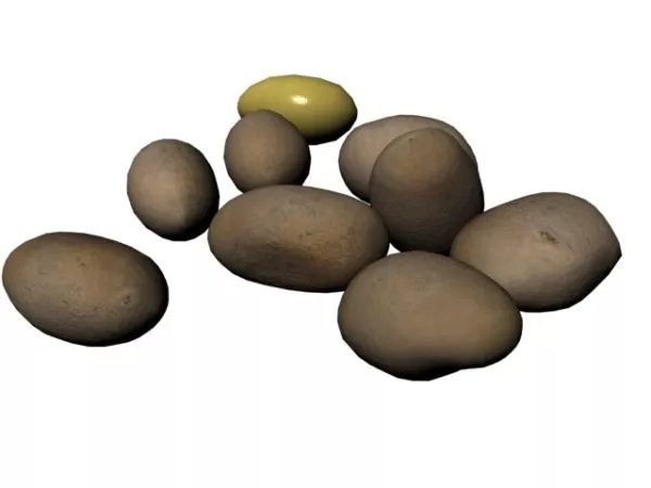 Striped Zucchini 3d model