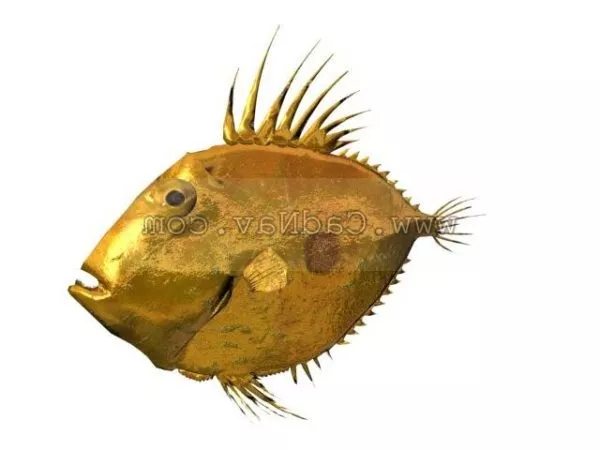 Sea Bass Fish Rigged 3d model
