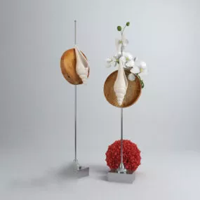 Seashell Minimalist Home Decor 3d model
