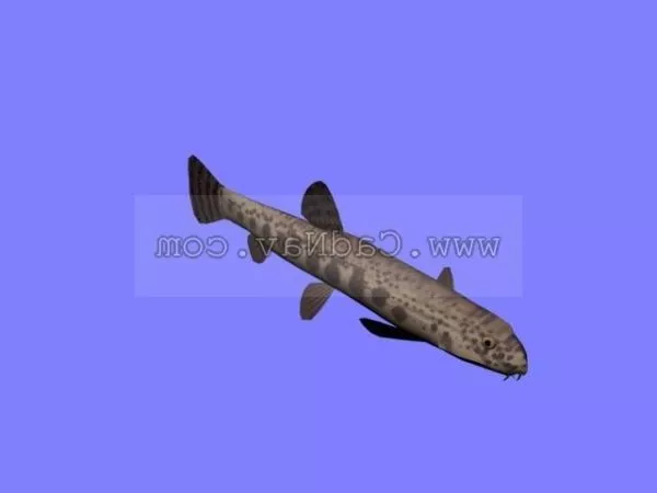 Bluegill Fish 3d model