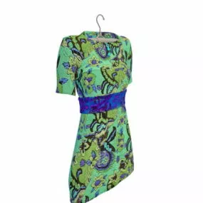 Clothing Semi Sleeve Dress 3d model