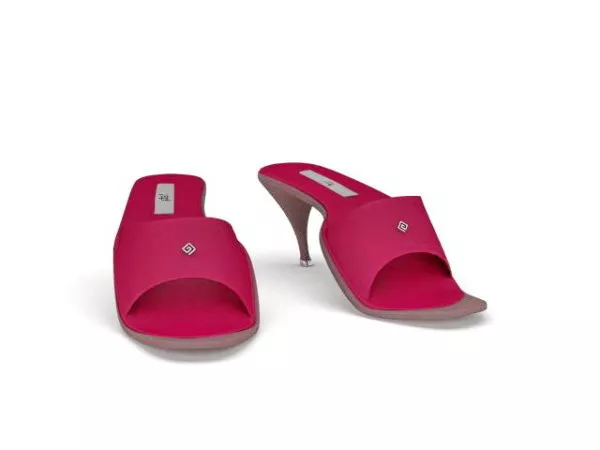 Ankle Strap High Heel Shoes 3d model