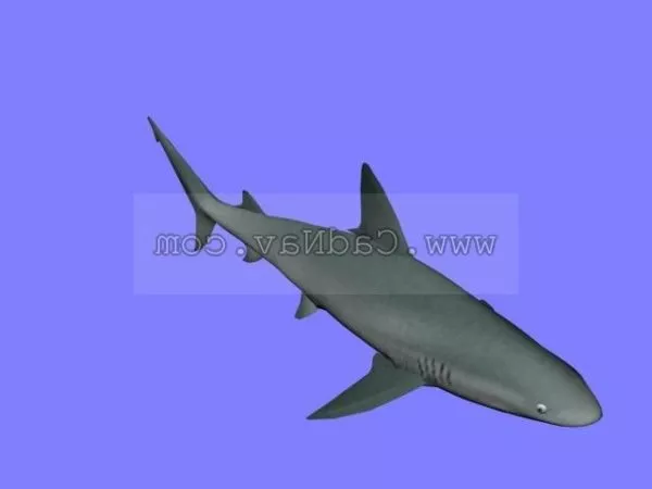 Deep Ocean Monster Fish 3d model