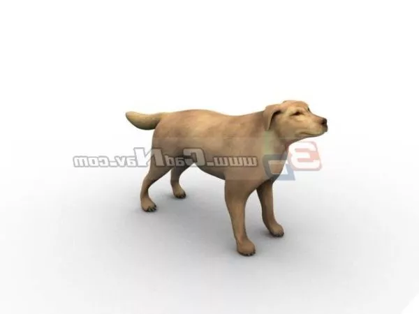 Animal Shepherd Dog 3d model Animal Shepherd Dog 3d model