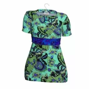 Short Sleeved Blouse Fashion 3d model