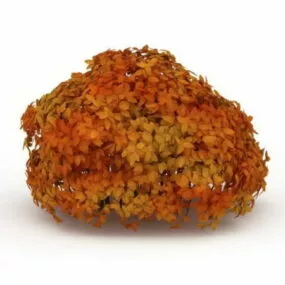 Plant Shrub In Fall Leaves Color 3d model