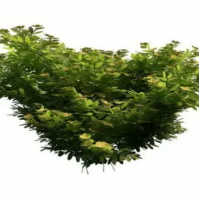 Outdoor Garden Shrub Landscaping 3d model