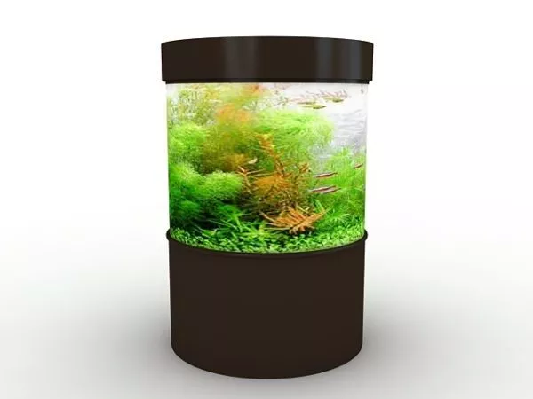 Cylinder Aquarium Design 3d model Cylinder Aquarium Design 3d model