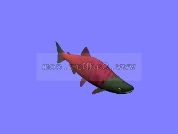 Sea Landscape With Human And Boat 3d model