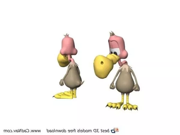 Cassowary Bird 3d model