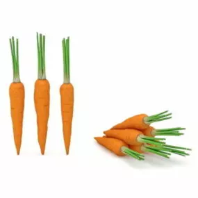 Some Raw Carrot Vegetables 3d model
