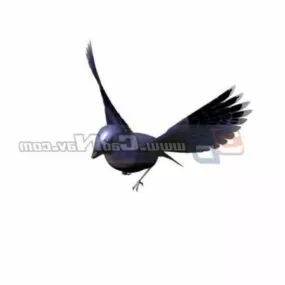 Animal South America Hummingbirds 3d model