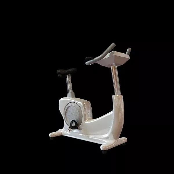 Wheeled Bike Small Size 3d model