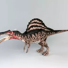Spinosaurus Dinosaur 3d model