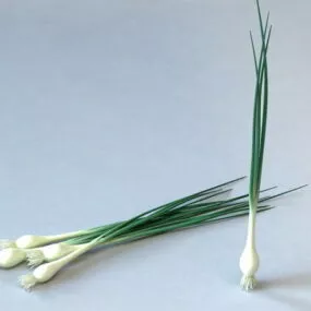 Vegetables Onion Greens 3d model