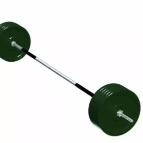 Standard Barbell Gym Equipment 3d model