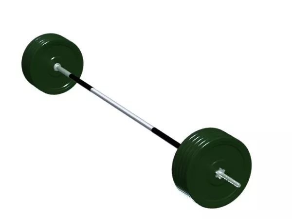 Standard Barbell Gym Equipment 3d model Standard Barbell Gym Equipment 3d model