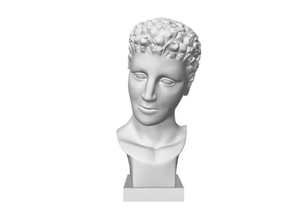 Aged Man Head 3d model