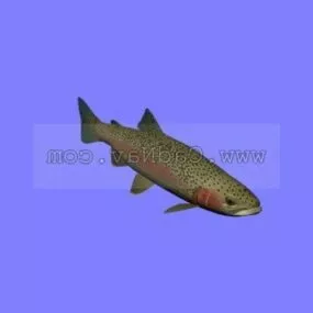 Sea Animal Steelhead Fish 3d model