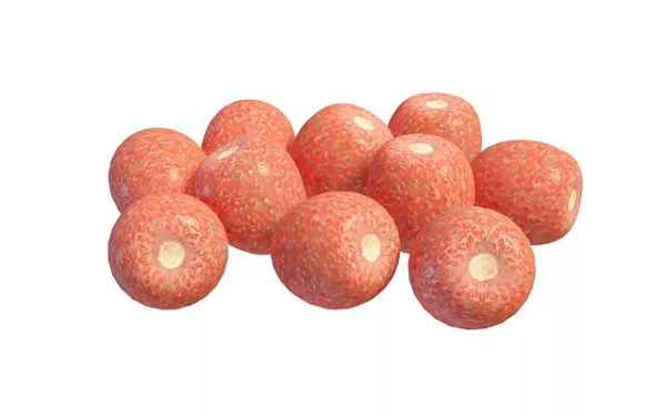 Nature Strawberries Fruit 3d model Nature Strawberries Fruit 3d model
