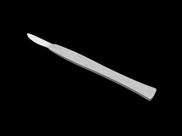 Incisor Teeth With Root 3d model