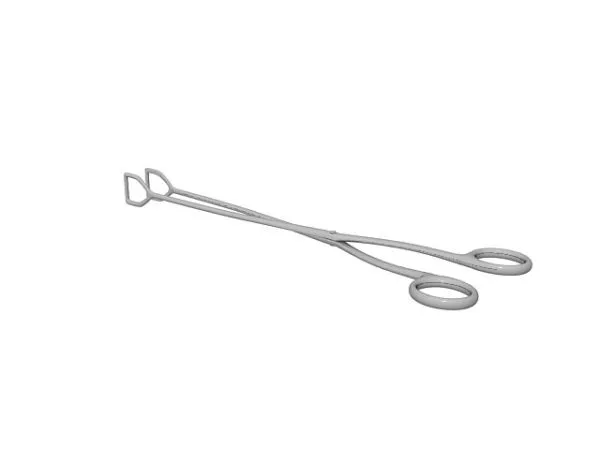 Human Tooth 3d model