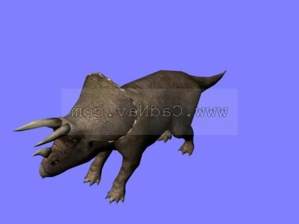 Tyranosaurus Head 3d model