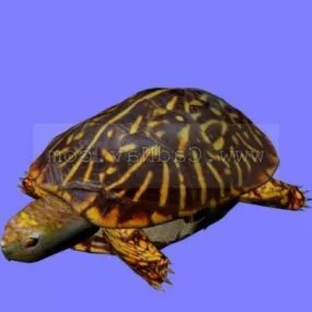 Turtle Sea Animal 3d model
