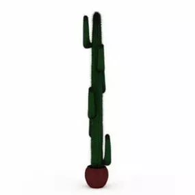 Tall Cactus Plants In Pot 3d model