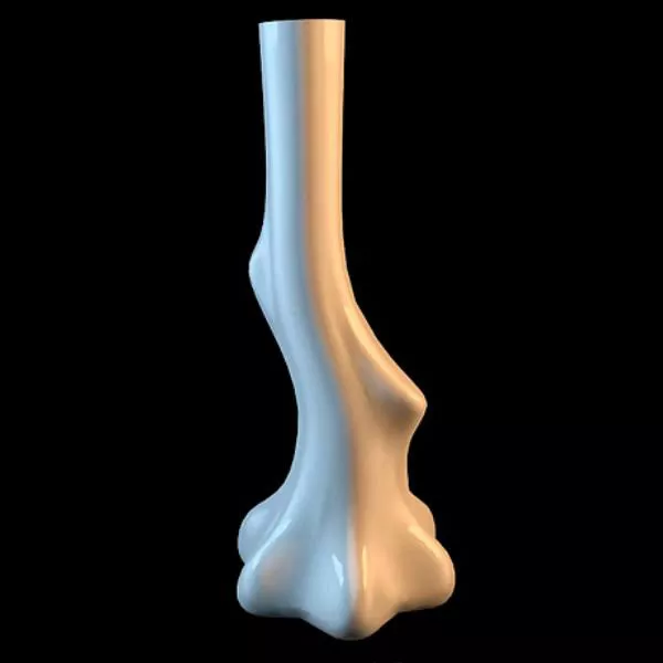 Tall Tree Branch Ceramic Vase 3d model Tall Tree Branch Ceramic Vase 3d model