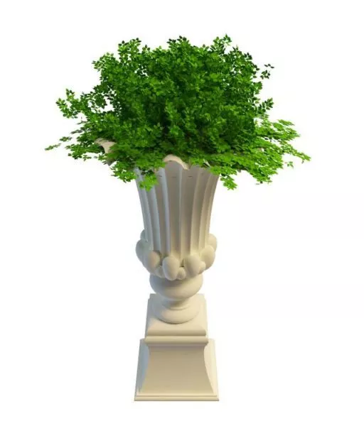 Classic Urn 3d model