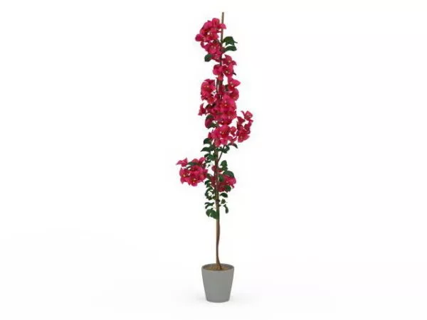Indoor Tall Potted Flower 3d model Indoor Tall Potted Flower 3d model
