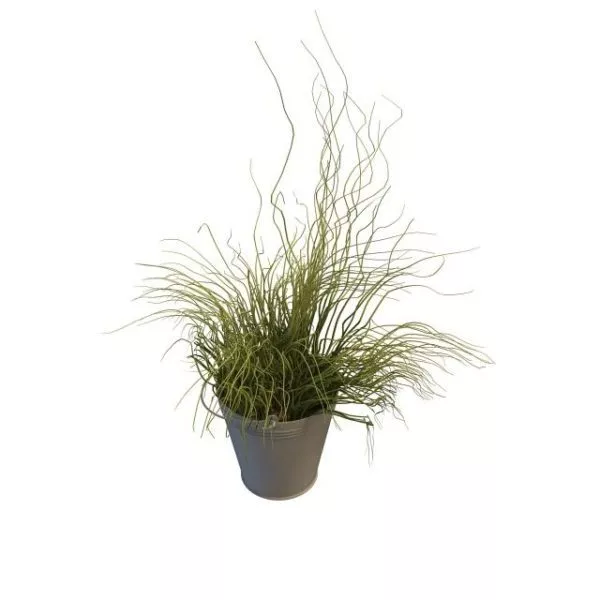 Realistic Grass Pack 3d model
