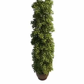 Outdoor Tall Potted Plant 3d model