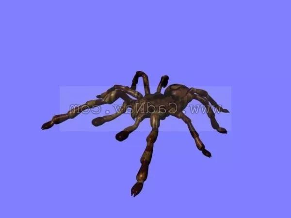 Bot Spider, Small Animal Robot 3d model