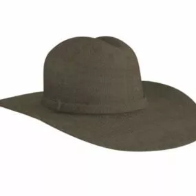 Ten Gallon Women Hat 3d model