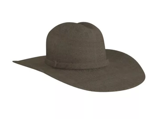 Underpants Hat 3d model